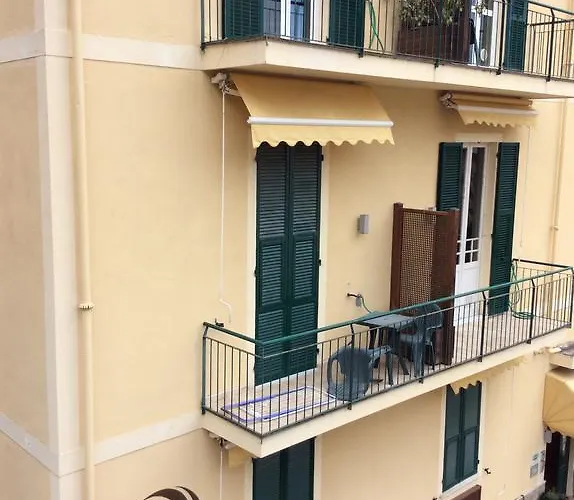 Conchiglia 阿拉西奥